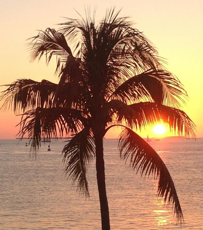 Family, Couples Retreat near Airport, Cruise Port&Beaches Fort Lauderdale Extérieur photo